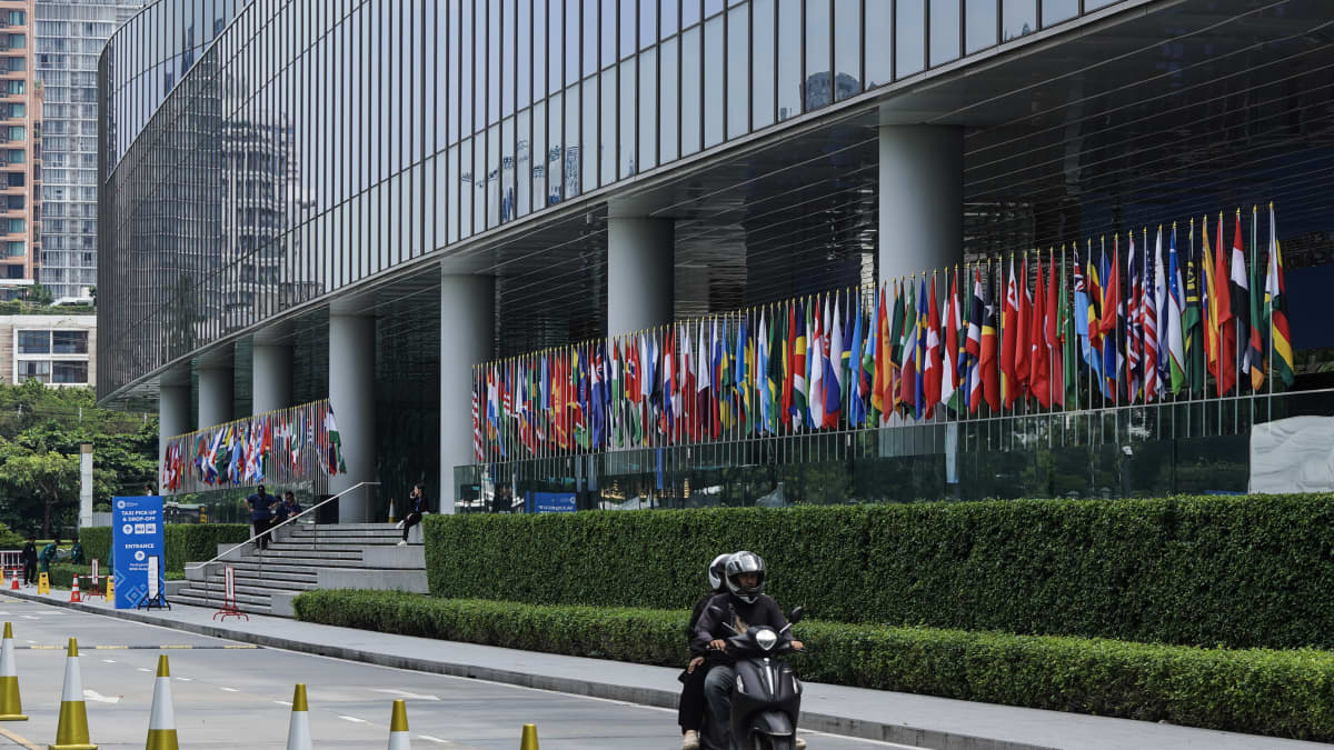 IMF上调全球增长预测，却下调近半数经济体增长预期