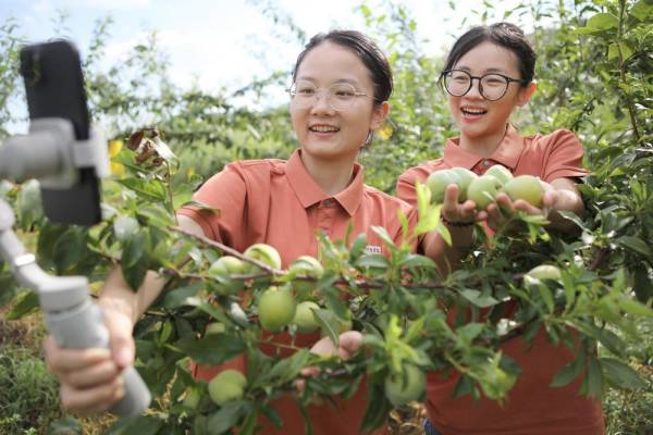 中国盛行冒充村干部,直播带货“农产滞销,帮帮我们”